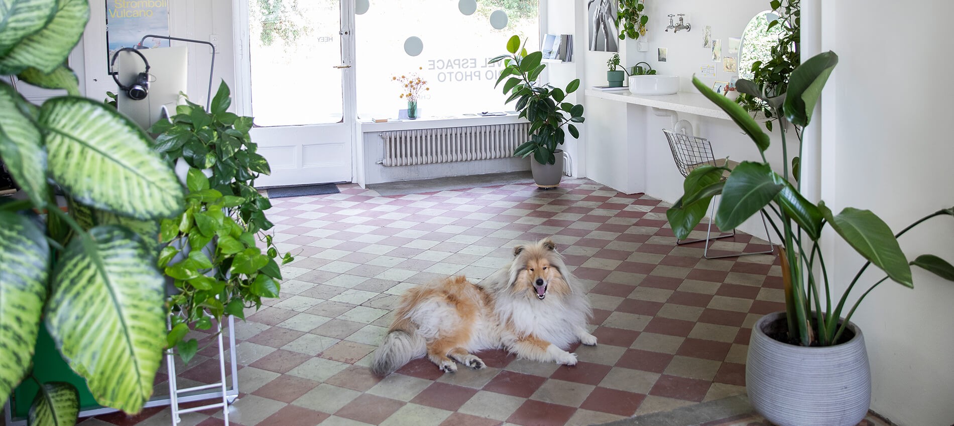 Location du studio photo