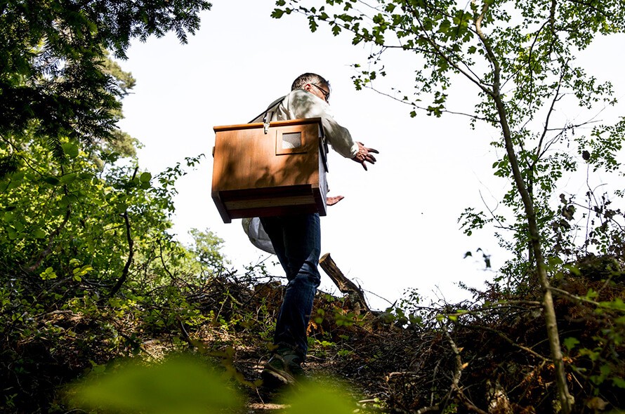 Société d'Apiculture du Gros-de-Vaud
