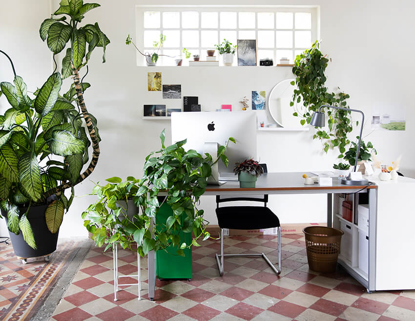 Location du studio photo