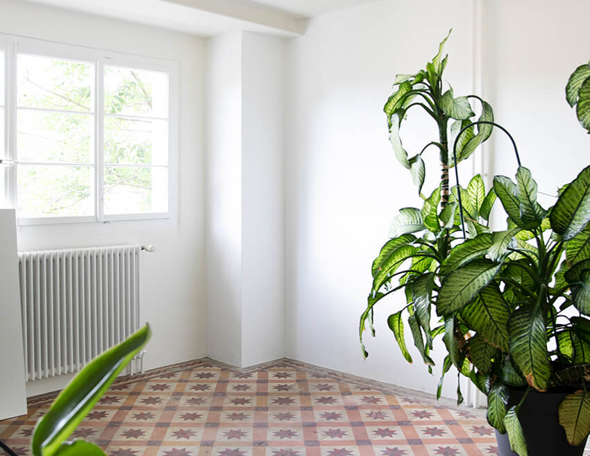 Location du studio photo